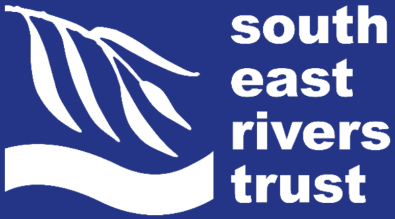 South East Rivers Trust — willow over wave